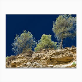 Trees On A Cliff 20230831125616rt1pub Canvas Print