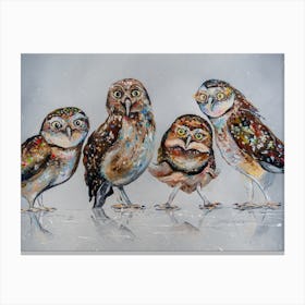 Company Of Owls Birds Art Oil Painting Canvas Print