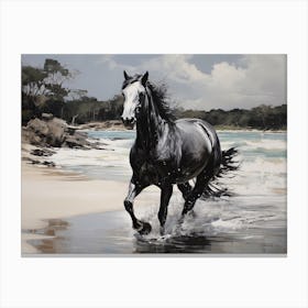 A Horse Oil Painting In Hyams Beach, Australia, Landscape 4 Canvas Print