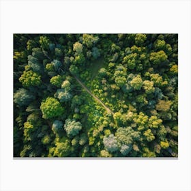 Aerial View Capturing The Vibrant Canvas Of A Lush Green Forest In Springtime Canopy Of Dense Reju (6) Canvas Print