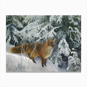 Fox in Snow Winter Painting Canvas Print