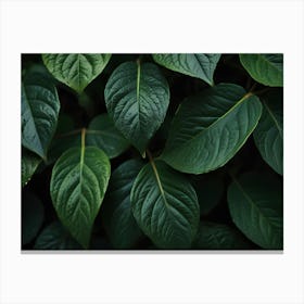 Green Leaves 1 Canvas Print