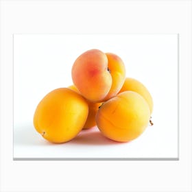 Apricots 7 Canvas Print