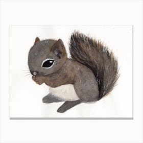 Baby Squirrel Canvas Print