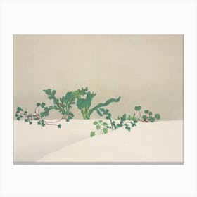 Green Plants From Momoyogusa –Flowers Of A Hundred Generations (1909), Kamisaka Sekka Canvas Print
