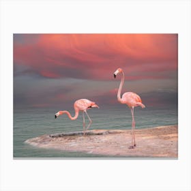 Pink Flamingo Canvas Print