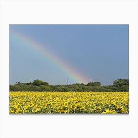 Rainbow Over Sunflowers Canvas Print