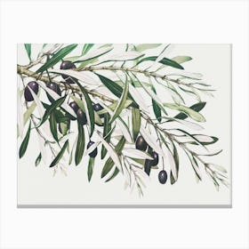 Olive Branches, The Miriam And Ira D Canvas Print