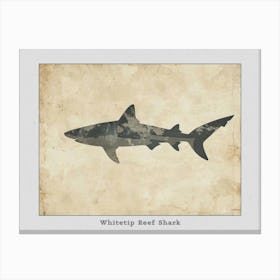 Whitetip Reef Shark Shark Silhouette 7 Poster Canvas Print