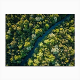 Aerial View Capturing The Vibrant Canvas Of A Lush Green Forest In Springtime Canopy Of Dense Reju (2) Canvas Print