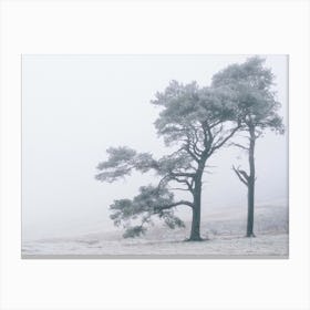 Two Trees In The Fog Canvas Print