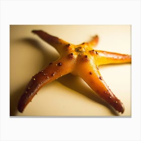 Starfish 5 Canvas Print