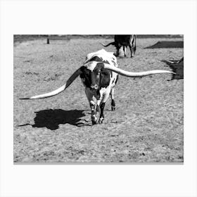 Texas Longhorns 4 Canvas Print