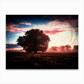 Sunset With A Tree Canvas Print