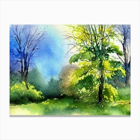 Watercolor Of Trees 5 Canvas Print