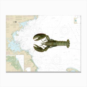 Denton Male American Lobster On Massachusetts Bay Nautical Chart 13267 Canvas Print