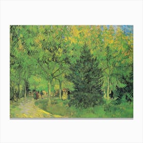 Van Gogh 29 Canvas Print