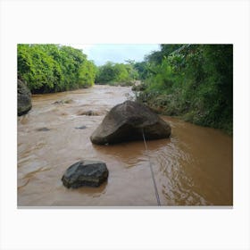 Muddy River Canvas Print