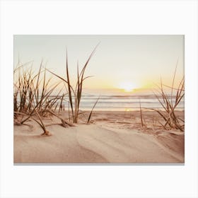 Sand Dune Grass Canvas Print