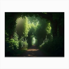 Grapevines Lining The Forest Path With Lush Green Vines Above Canvas Print