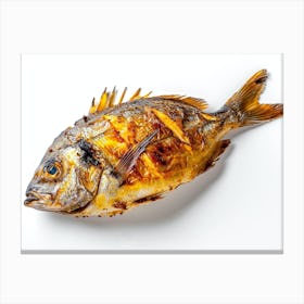 Grilled Fish 3 Canvas Print