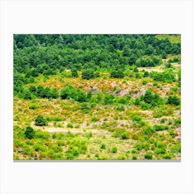 Aerial View Of A Forest 20230816110689pub Canvas Print