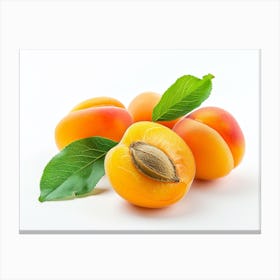 Apricots 9 Canvas Print