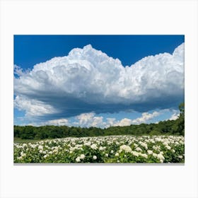 A Vast Landscape View Under A Dramatic Cloudscape Cumulus Clouds Towering Sunlight Battling The Ov (4) Canvas Print