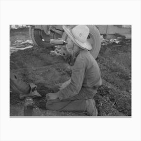 Young Mexican Boy, Carrot Worker, Eating Second Breakfast In Field Near Santa Maria, Texas, The Lunches Of The Canvas Print