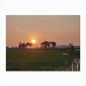 Sunset Over Rice Field Canvas Print