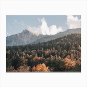 Autumn Mountain Forest Canvas Print