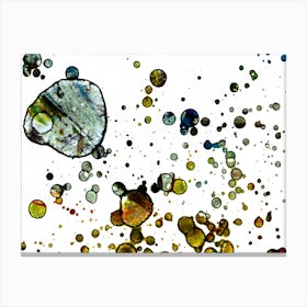 Abstraction Watercolor Balls Canvas Print