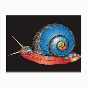 Snail Canvas Print