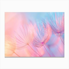 Dandelion Background Canvas Print