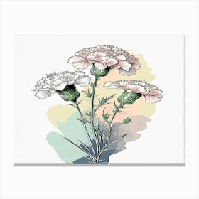 Carnations 2 Canvas Print