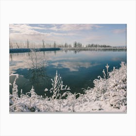 Unitltled 12 - Snow in the Vineyard Series Canvas Print