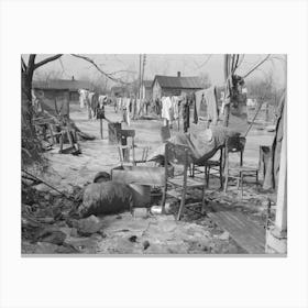 A Backyard In Maunie, Illinois, After The Flood By Russell Lee Canvas Print