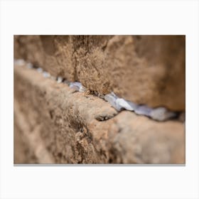Notes To God In The Cracks Between The Bricks Of The Western Wall In The Old City Of Jerusalem Israel Canvas Print