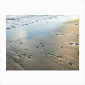 Shiny sand and stones on the beach Canvas Print