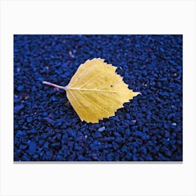 Autumn Leaf 1 Canvas Print