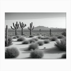 Cactus In The Desert Canvas Print