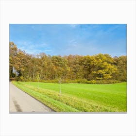 Road In The Countryside 12 Canvas Print