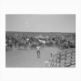 Horses In The Corral, Cowboy Has Just Roped One Of Them, Cattle Ranch Near Spur, Texas By Russell Lee Canvas Print