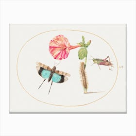Grasshoppers And A Caterpillar With A Four O Clock Flower (1575–1580), Joris Hoefnagel Canvas Print