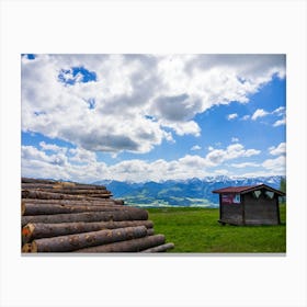 Logs In The Mountains Canvas Print