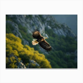 Eagle In Flight Canvas Print