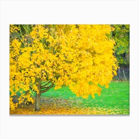 Autumn Tree Of Gold Canvas Print