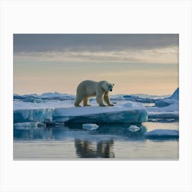 Polar Bear On Ice Floes Canvas Print