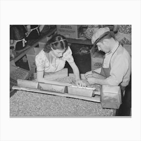 Owner Of Pecan Shelling Plant With Girl Who Is Separating The Whole Meats From The Broken Ones, Union Plant Canvas Print