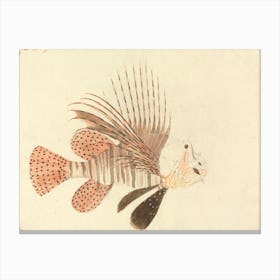A Fish, Luigi Balugani Canvas Print